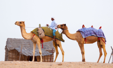 DESERT SAFARI