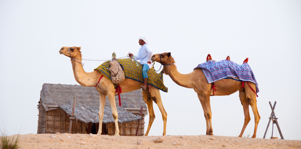DESERT SAFARI